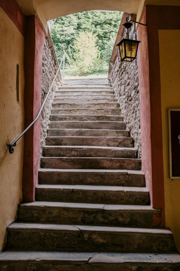 Apartament Casa Cecilia Santo Stefano Belbo Zewnętrze zdjęcie